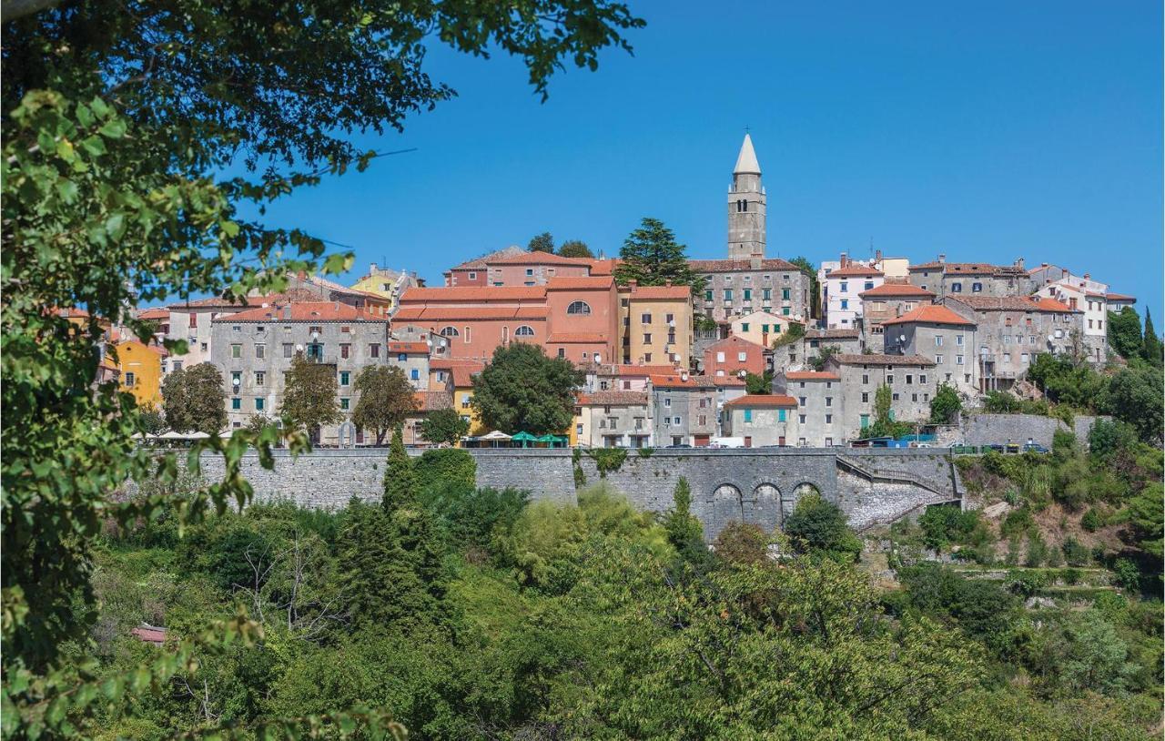Gorgeous Home In Labin With Outdoor Swimming Pool Extérieur photo